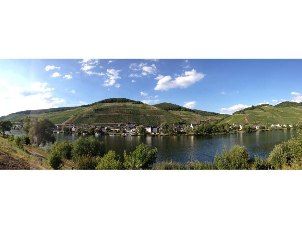 Ferienwohnung Am Moselufer Zell an der Mosel Dış mekan fotoğraf