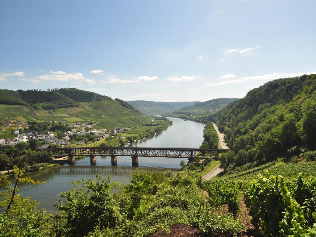Ferienwohnung Am Moselufer Zell an der Mosel Dış mekan fotoğraf