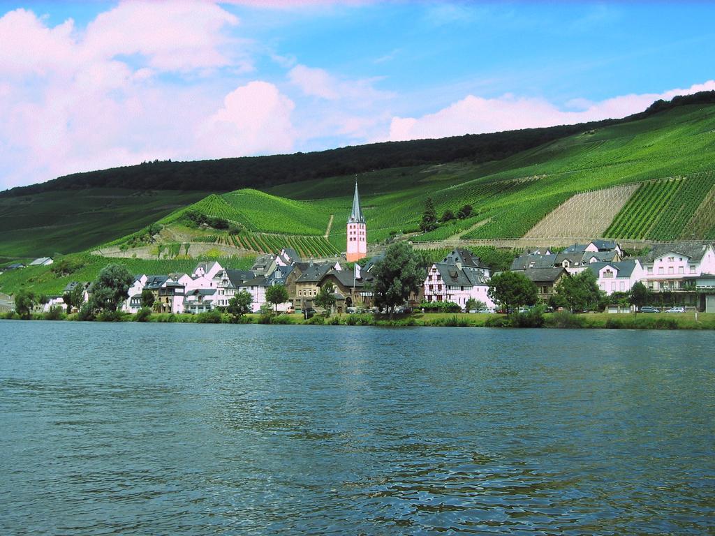 Ferienwohnung Am Moselufer Zell an der Mosel Dış mekan fotoğraf
